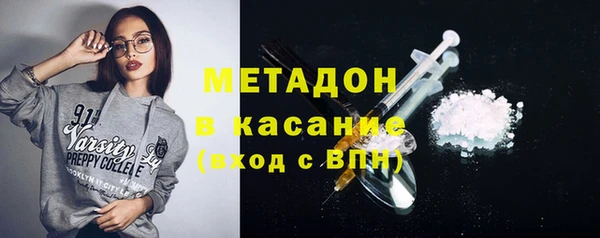 индика Краснослободск
