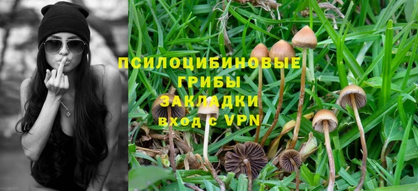 индика Краснослободск