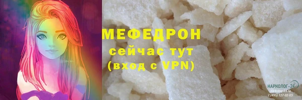 индика Краснослободск