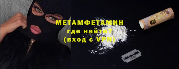 индика Краснослободск
