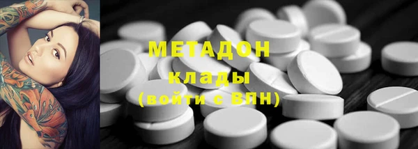 индика Краснослободск