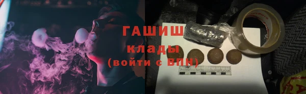 индика Краснослободск
