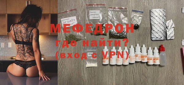 индика Краснослободск