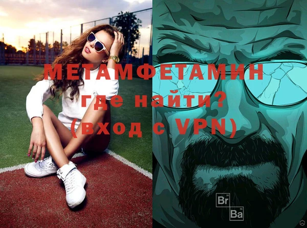 индика Краснослободск