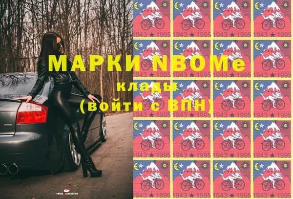 индика Краснослободск