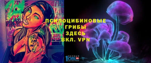 индика Краснослободск