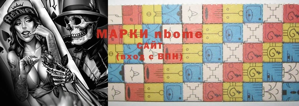 индика Краснослободск