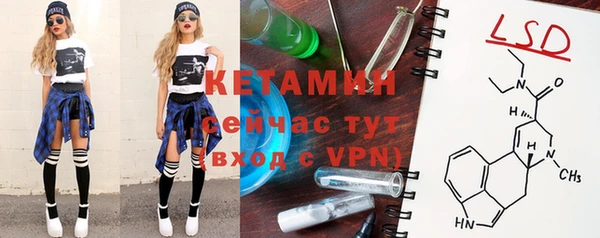 индика Краснослободск