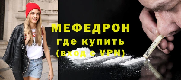 индика Краснослободск